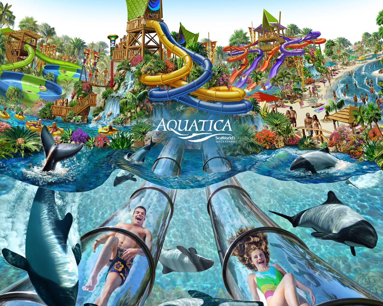 New Government Documents Indicate Aquatica Is Planning A New Attraction For 19 Blogs