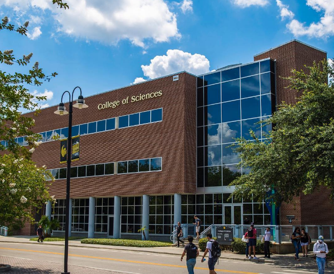 college essay for university of florida college essay for university of florida
