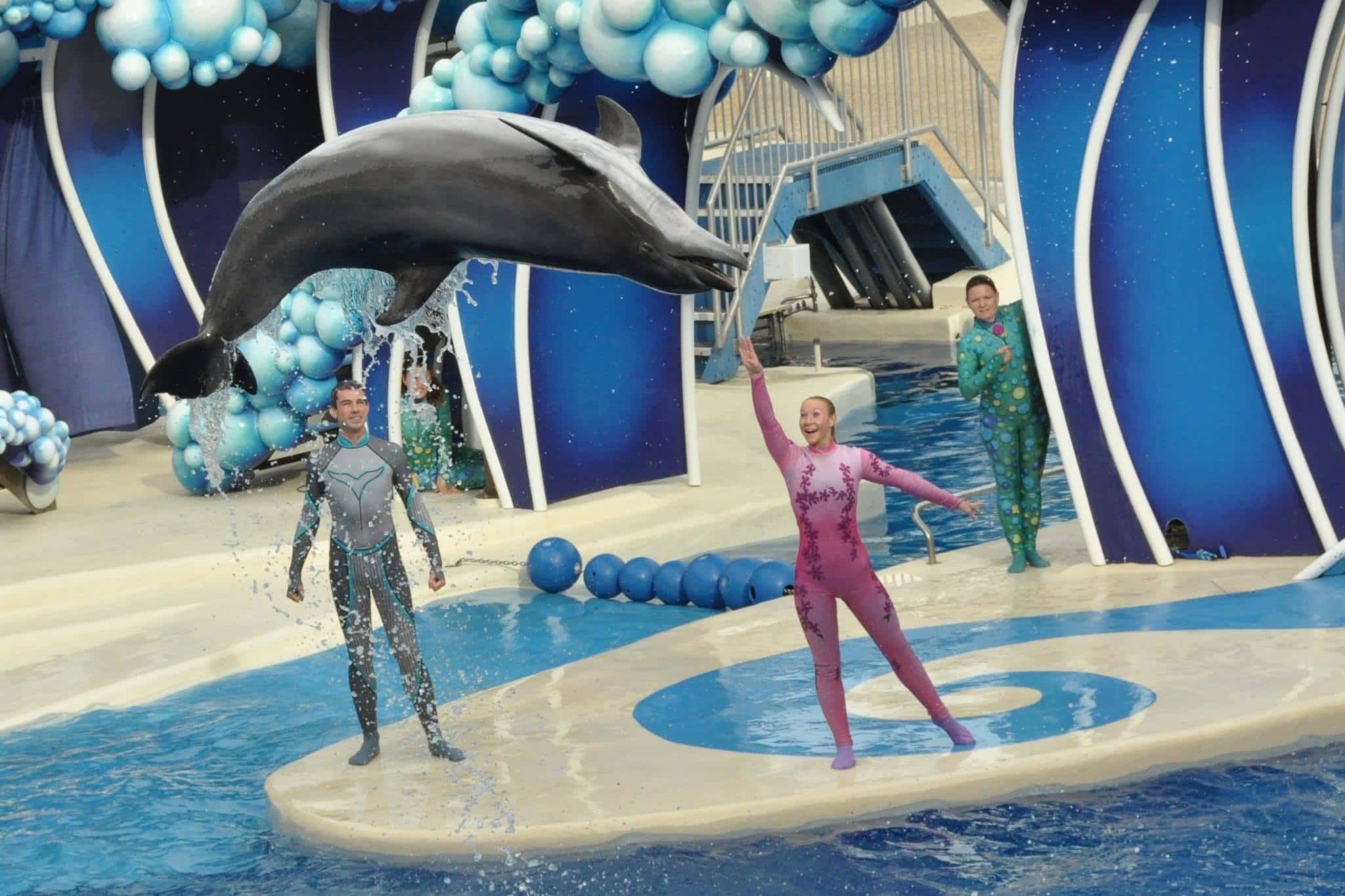 Seaworld Orlando Offers Florida Teachers Free Admission For A Year Blogs