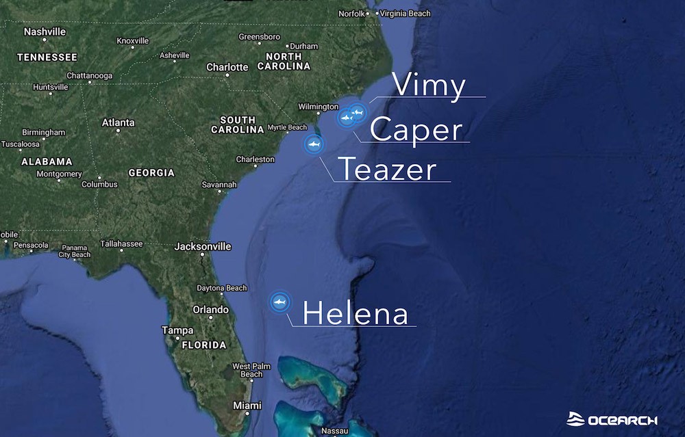 Two Massive Great Whites Pinged Off Titusville Coast And Drone Spots Shark Herd At New Smyrna Beach Blogs