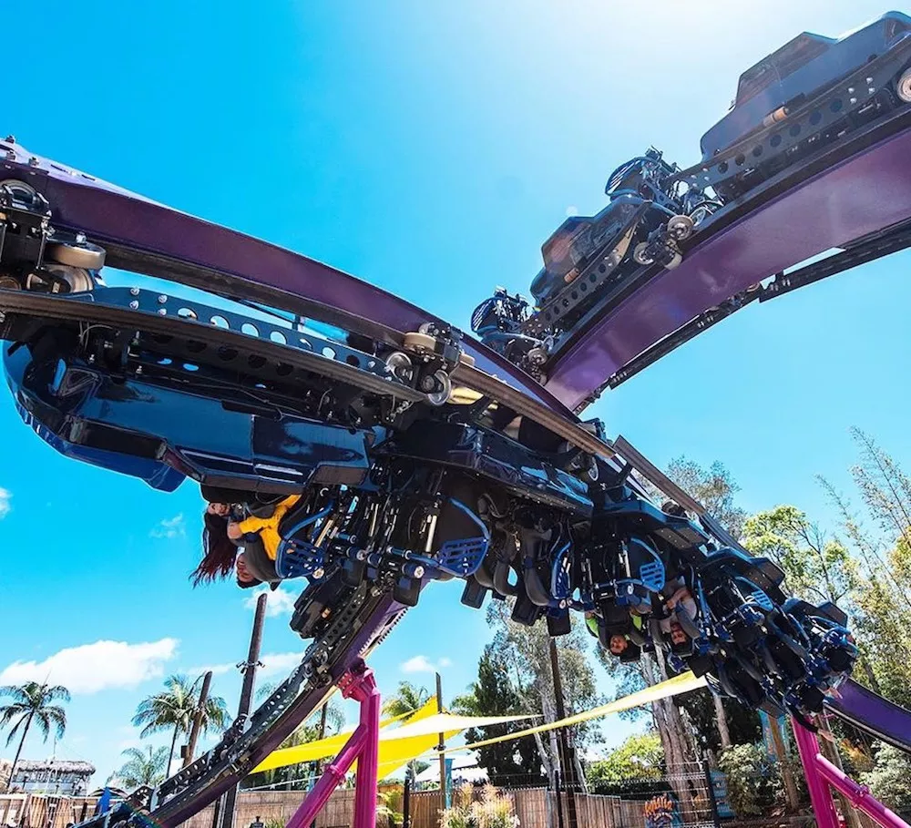 Seaworld Has Big Plans For 21 Here S Everything We Know So Far Blogs Seaworld Has Big Plans For 21 Here S Everything We Know So Far Blogs