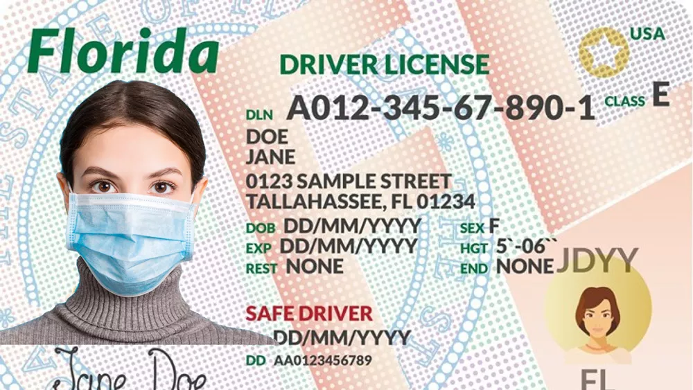 check your florida license