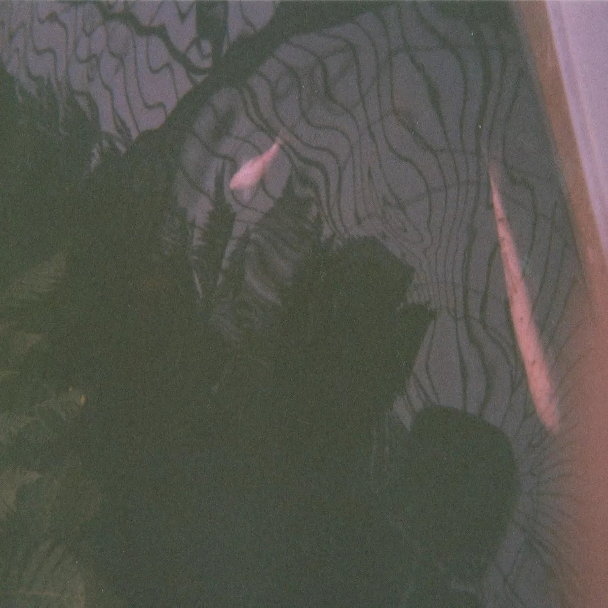 New Orlando Music Releases From Jessy Lynn Martens Alien Witch And Cathedral Bells This Week Blogs