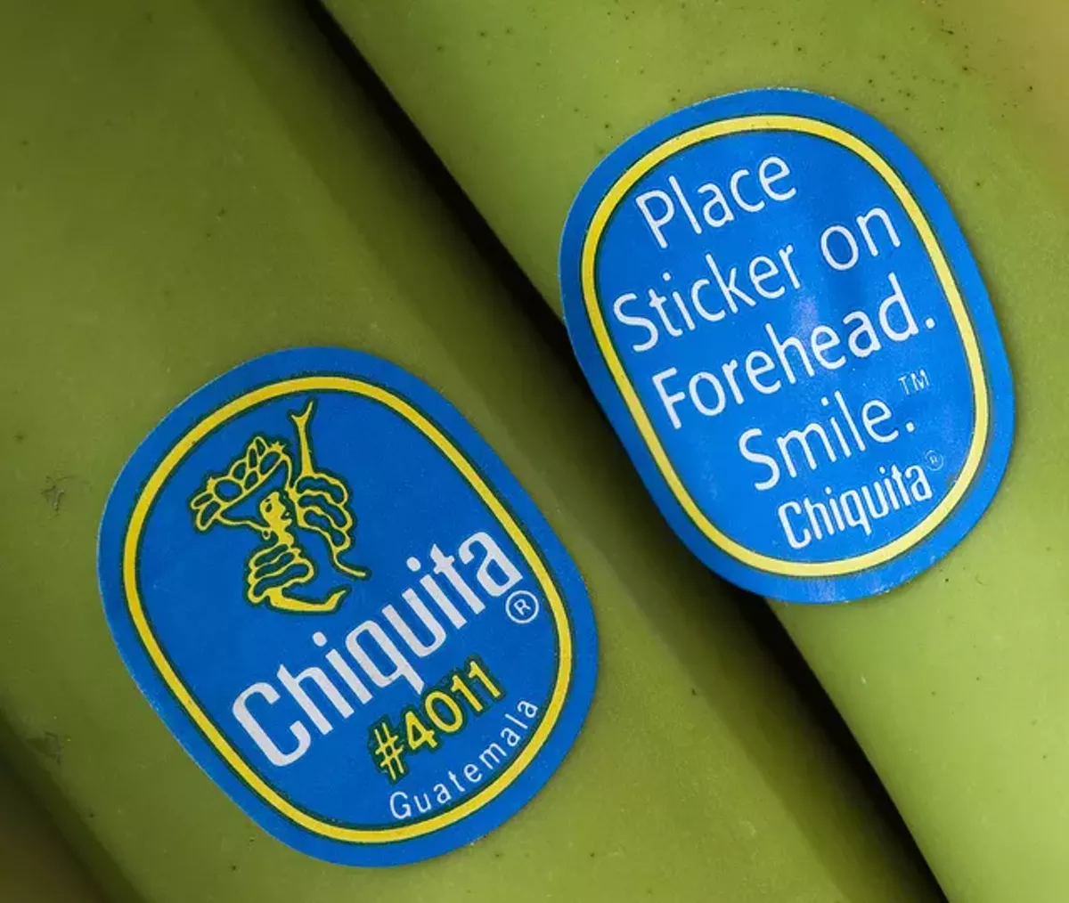 Chiquita Brands bringing offices, jobs and bananas to Orlando area Blogs