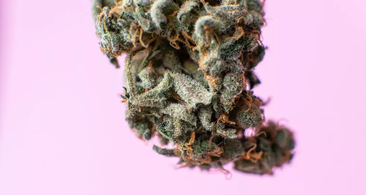 How to get your medical marijuana card in Florida - Vimarsana News