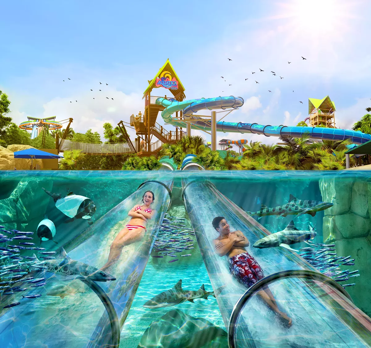 The Future Of Seaworld Water Parks Is On Display At Orlando S Aquatica Blogs