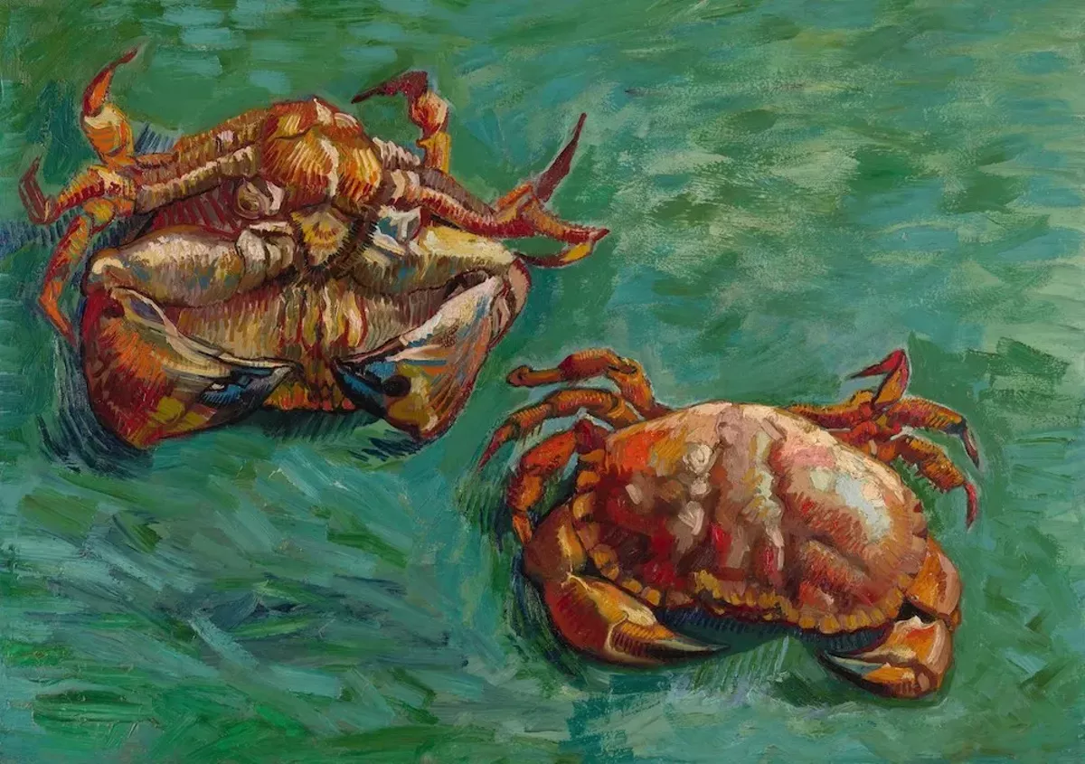 Your words: Readers get crabby about the Immersive Van Gogh Orlando experience - Vimarsana News