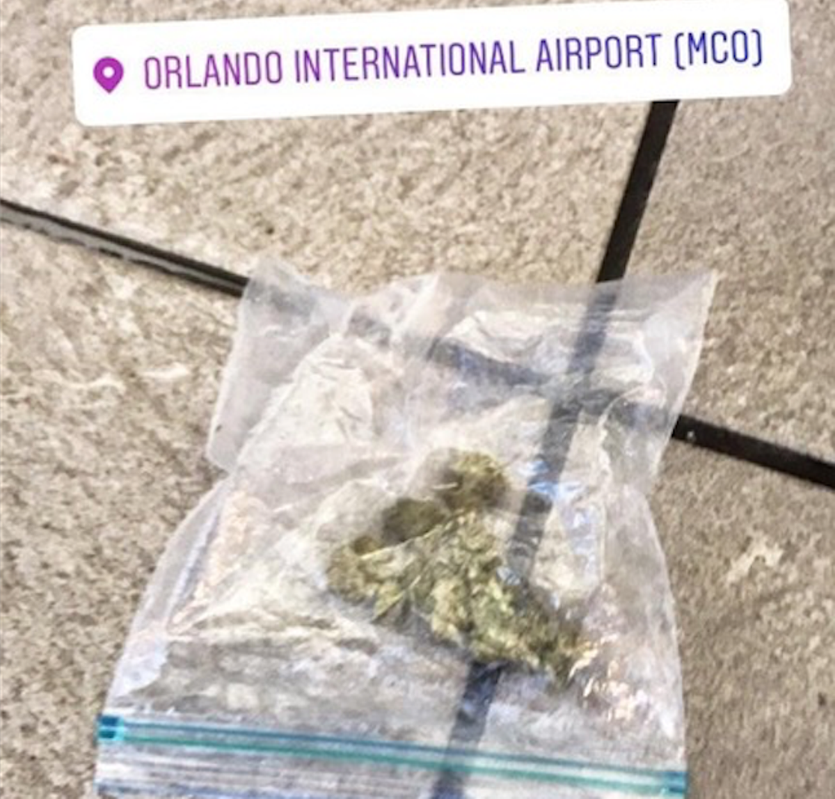 Someone Lost Their Little Baggy Of Weed At Orlando International Airport Blogs