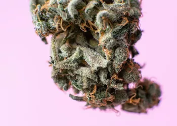 The 420 Issue: How to get your medical marijuana card in Florida