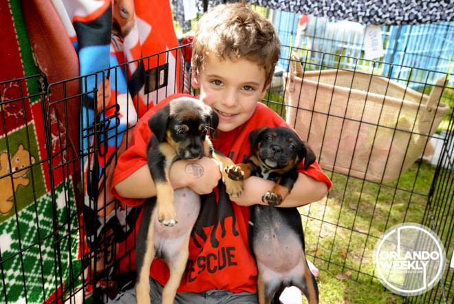 They call it Puppy Love: 62 sweet photos of dogs and their owners from our Puppy Love Festival - MELISSA BERRIOS