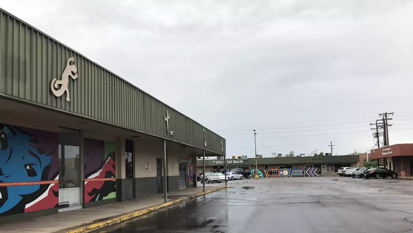 'We Don&rsquo;t Want Another Mill Avenue': What's Next for Danelle Plaza?