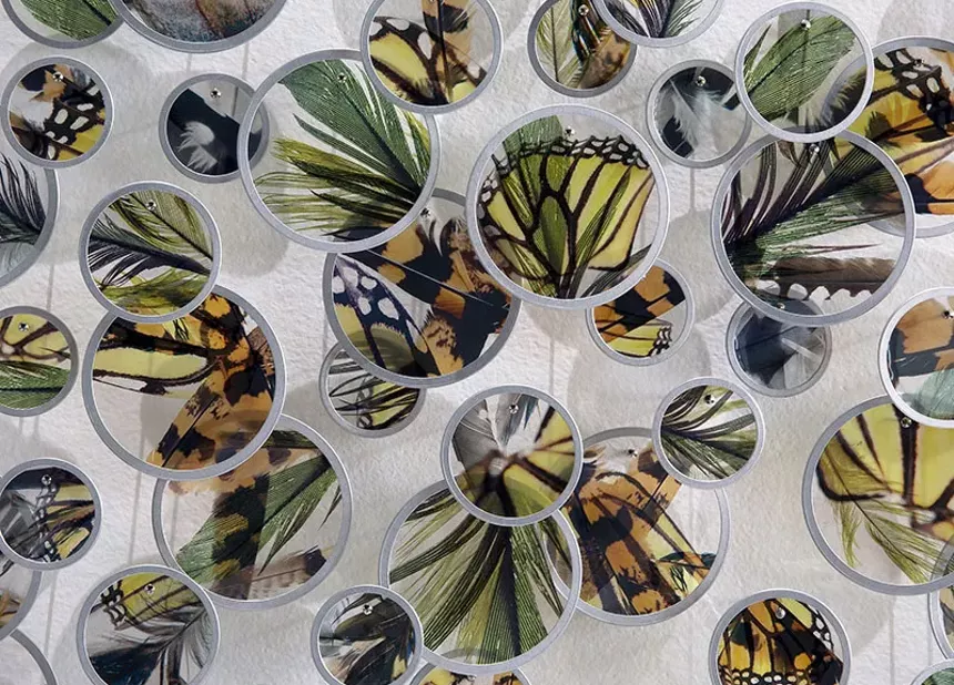 Alan Bur Johnson, One Flock, One Swarm (detail), 2020, photographic transparencies, metal frames, dissecting pins, 93.5 x 39 x 2 inches. - LISA SETTE GALLERY