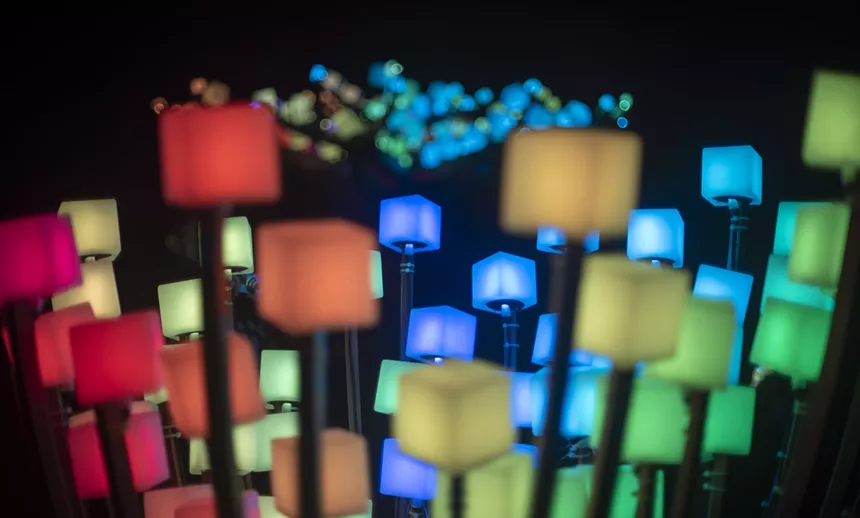 Entwined Meadow is part of the Canal Convergence 2021 lineup in Scottsdale. - SCOTTSDALE ARTS
