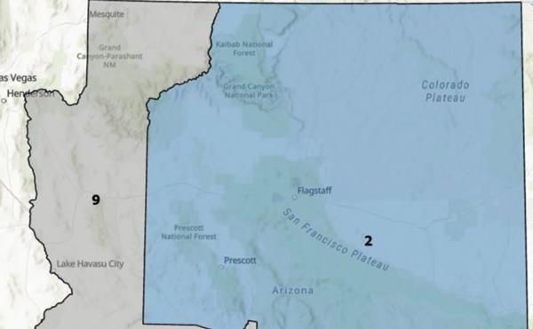 Is Arizona's Redistricting Process Excluding Latinos and Native Americans?