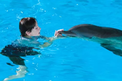 A boy and his dolphin