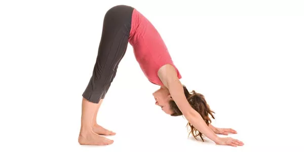 Brewery Yoga