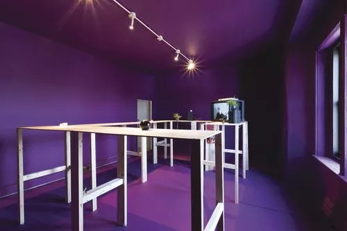 Jerstin Crosby's installation work "ON THE INSIDE."