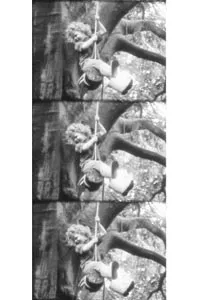 Stills from Richmond's short film "RopeSwing," depicting children at play in a huge tree.