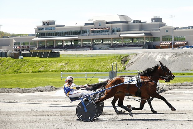 Horses run the track at Meadows Racetrack - CP PHOTO: JARED WICKERHAM