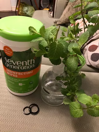 A COVID-19 porch wedding ensemble of disinfecting wipes, hand sanitizer, kitchen window mint "bouquet," and discount Amazon rings. - PHOTO: ALLISON RUPPERT