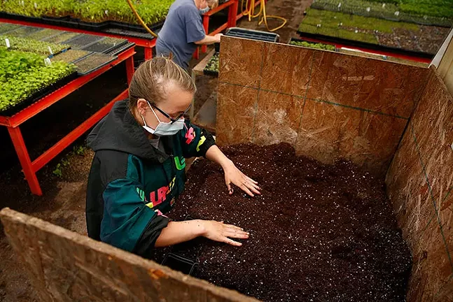 Danielle McGarrity plants vegetables inside a greenhouse at Who Cooks For You Farm. - CP PHOTO: JARED WICKERHAM