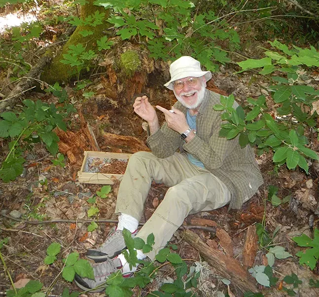 Tim Pearce doing field work in California last summer, sieving leaf litter looking for tiny snails - TIM PEARCE