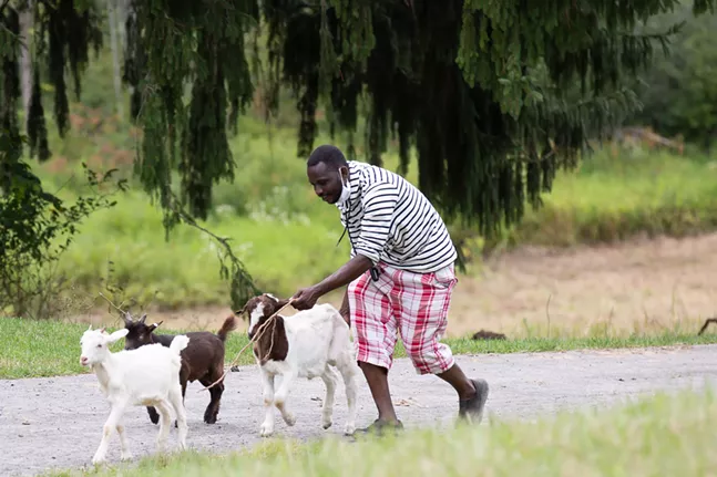 Pittsburgh’s Black farmers work to grow a new future
