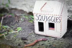Squiggles rolls over a lot, but can't really fetch, or anything - PHOTO ILLUSTRATION BY RENEE ROSENSTEEL