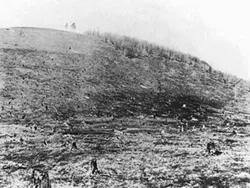 Lumbering, forest fires and grazing took their toll near Little Marsh, in Tioga County. - PHOTO COURTESY OF THE PENNSYLVANIA DEPARTMENT OF CONSERVATION AND NATURAL RESOURCES