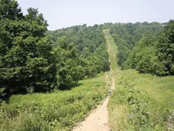 Hikers traversing downhill on a section of the Rachel Carson Trail near Emmerling Park in Indiana Township - PHOTO COURTESY OF JEN BRAUN