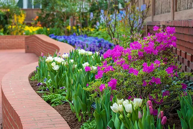Spring Flower Show: Canopy of Color at Phipps Conservatory and Botanical Gardens, see Mon., March 15 for more details - PHOTO: PHIL JOHNSON II