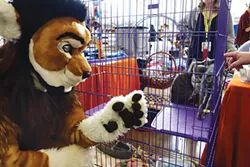 It probably comes as no surprise, but furries love their pets