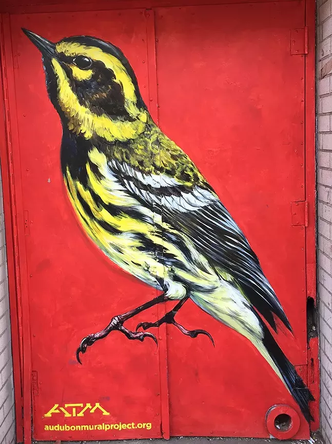 Siete días en Pittsburgh: del 6 al 12 de mayo |  Arte + entretenimiento |  Pittsburgh