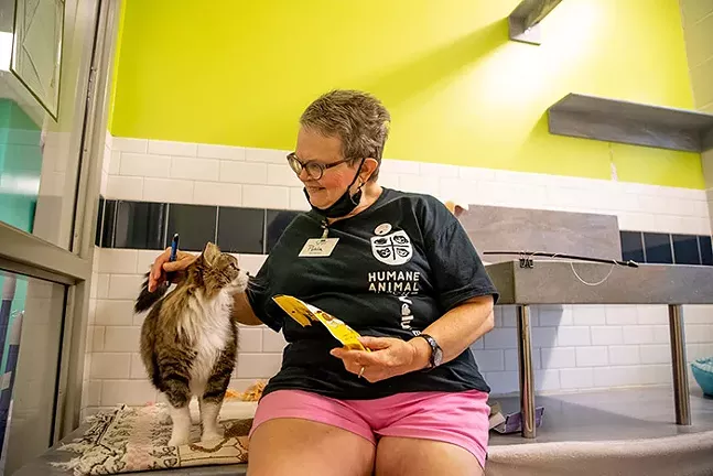Pohla Smith, a Humane Animal Rescue volunteer, sits with one of the rescue cats.  - CP PHOTO: KAYCEE ORWIG