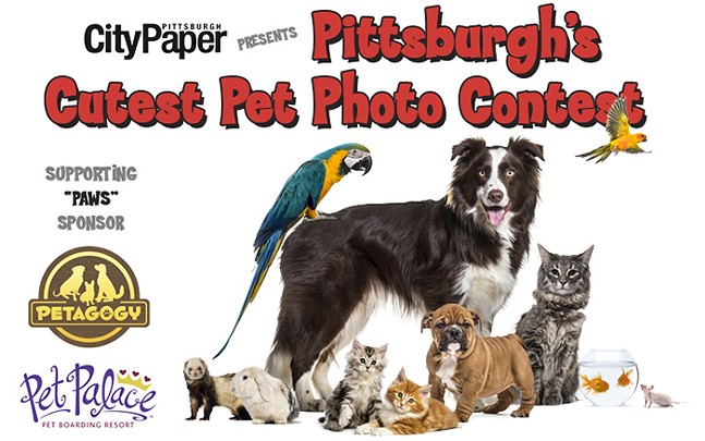 Pittsburgh’s cutest pet photo contest winners announced!