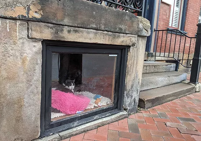 Ethel lounges in her sidewalk window on Western Avenue on Pittsburgh's North Side. - CP PHOTO: LISA CUNNINGHAM
