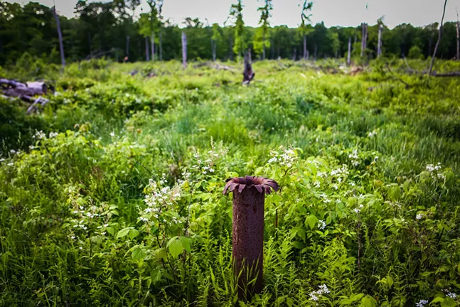 Pennsylvania oil lobby keeps abandoned wells unplugged