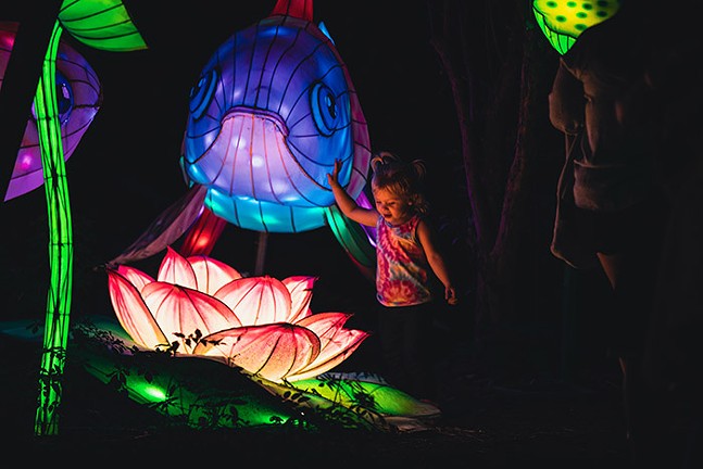 A child touches a blue fish-shaped lantern that rests above a lily-pad shaped lantern