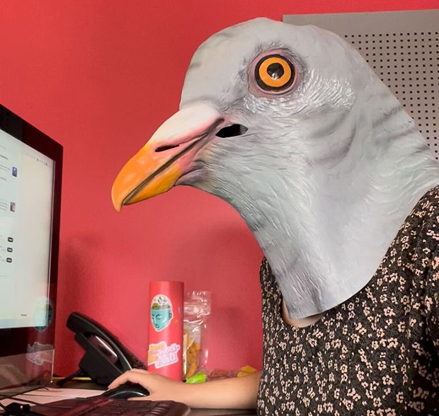 A person sitting at a computer in a giant pigeon mask stares intently at the camera