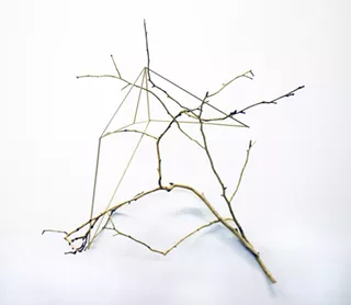 Work from Carin Mincemoyer's "Arboreal Geometric" series, selections from which are on display at the Brew House - ART BY CARIN MINCEMOYER