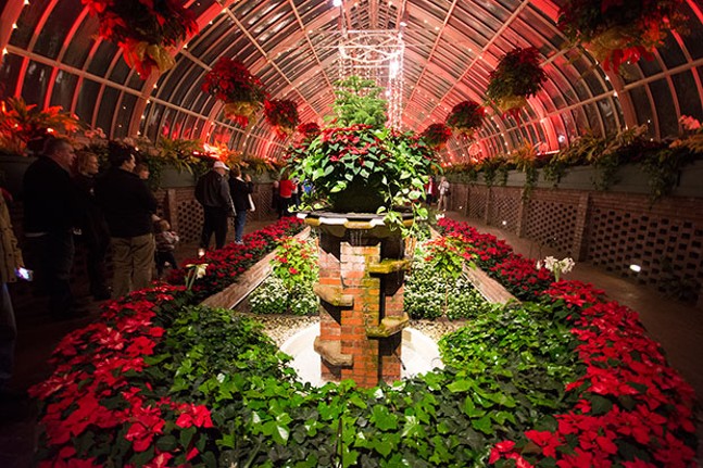 Holiday Magic! Winter Flower Show and Light Garden - CP PHOTOS BY JAKE MYSLIWCZYK