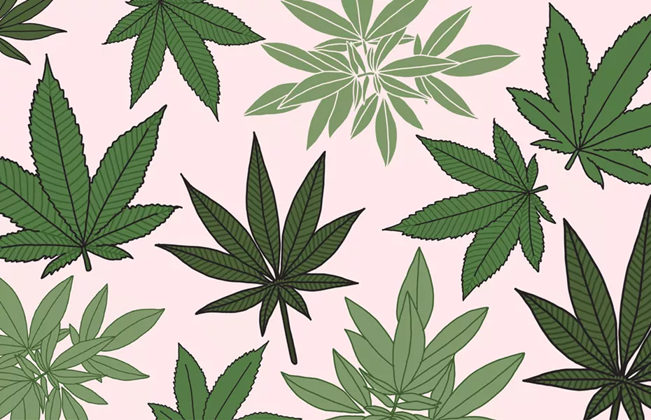 CP ILLUSTRATION: XIOLA JENSEN