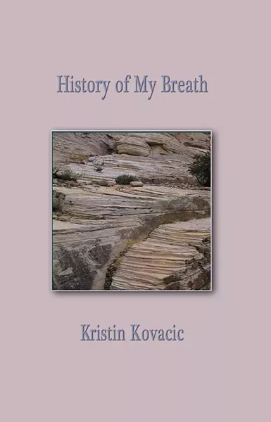 lit1-bookcover.jpg