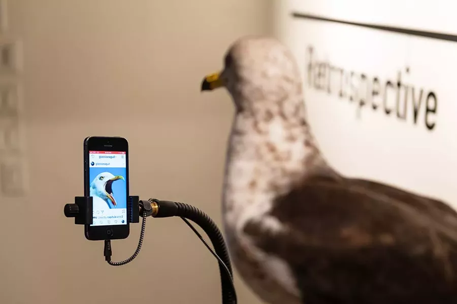 Joshua Reiman’s “#glassseagull” - NATHAN J. SHAULIS/PORTER LOVES PHOTOGRAPHY