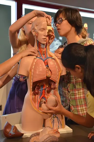 bodyworks.jpg