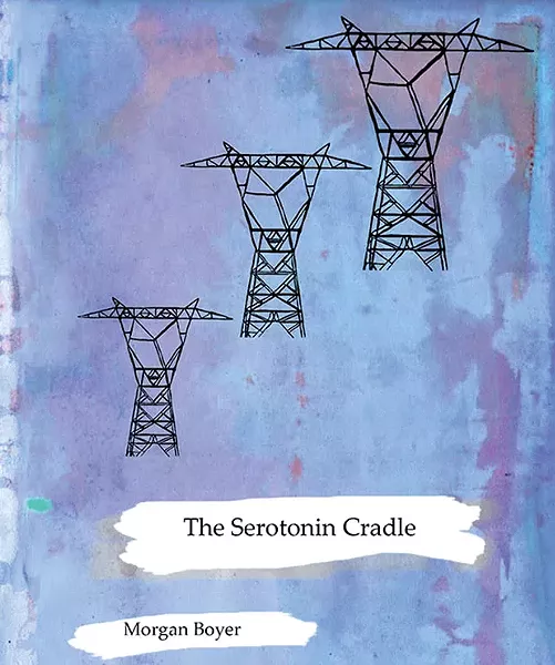 art10_the-serotonin-cradle_bookcover.jpg