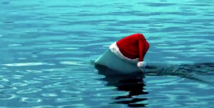 santa-jaws-750x380.jpg