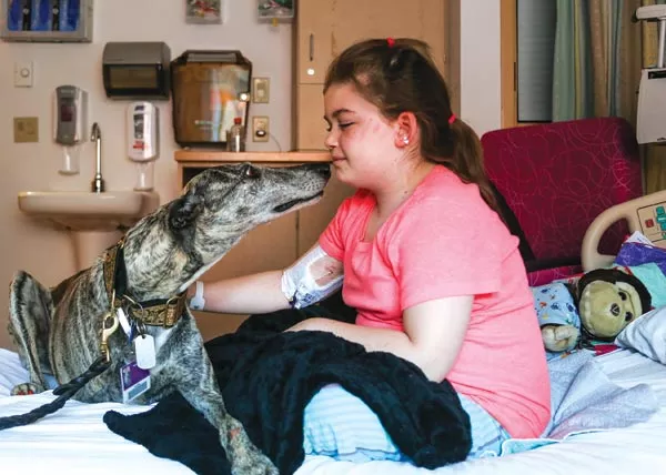 Pet therapy: Lulu visits patients at Children's Hospital - PHOTO BY MIKE SCHWARZ