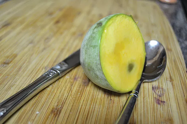 Pawpaw - PHOTO COURTESY OF ANDY MOORE