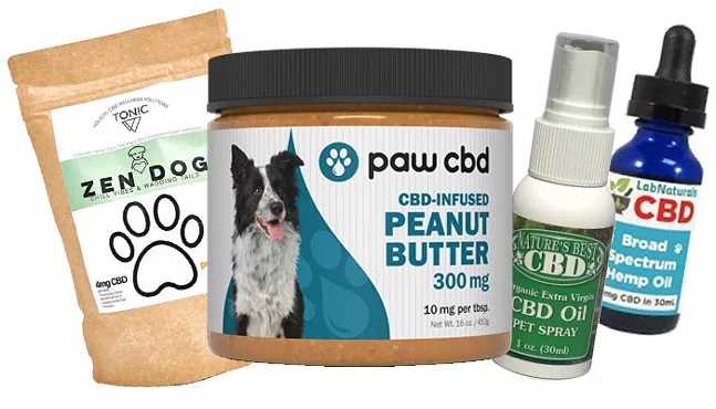 Can Dog Cbd Make Them Hyper